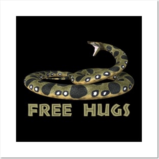 Boa Constrictor Free Hugs Posters and Art